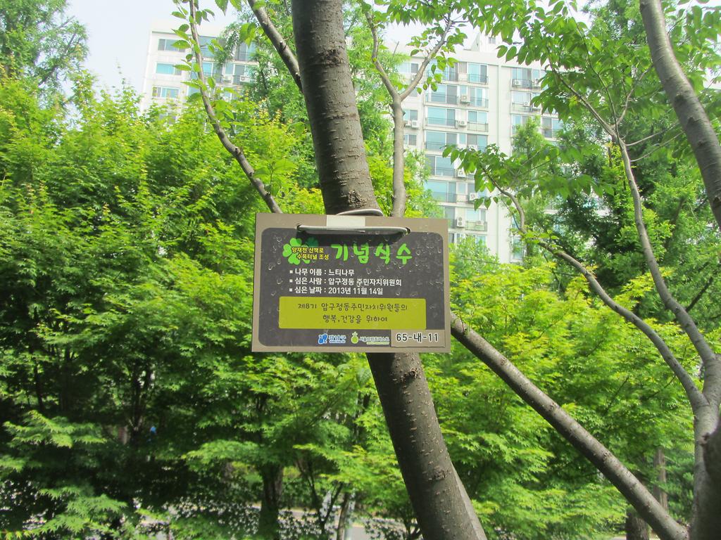 65-내-11