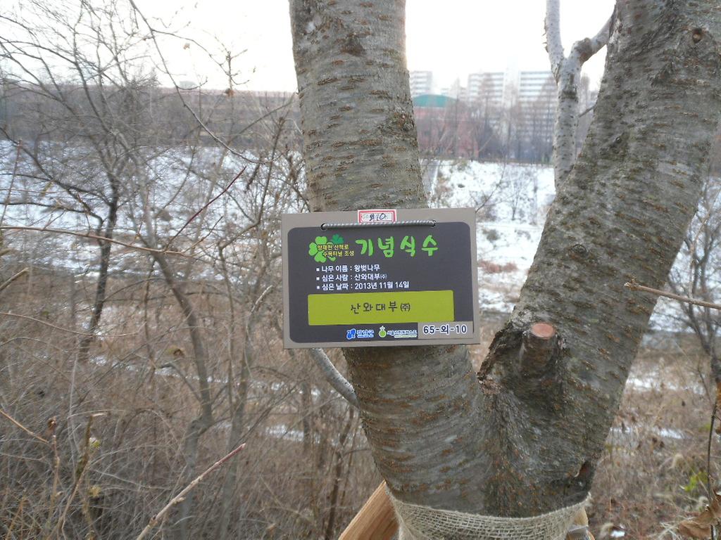65-외-10