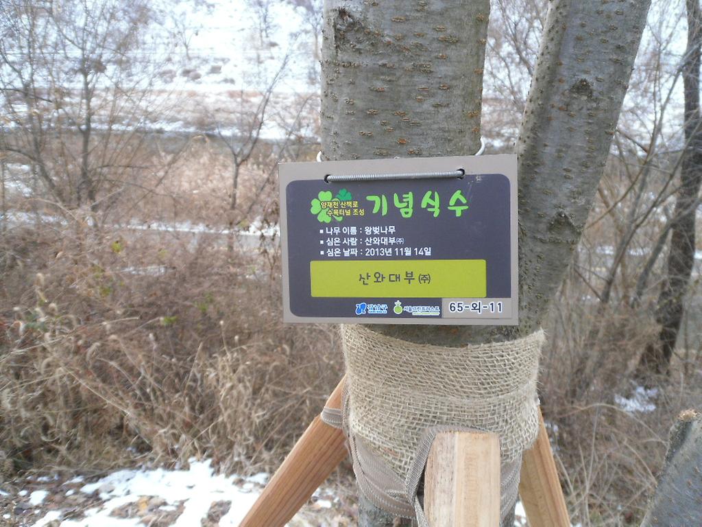 65-외-11