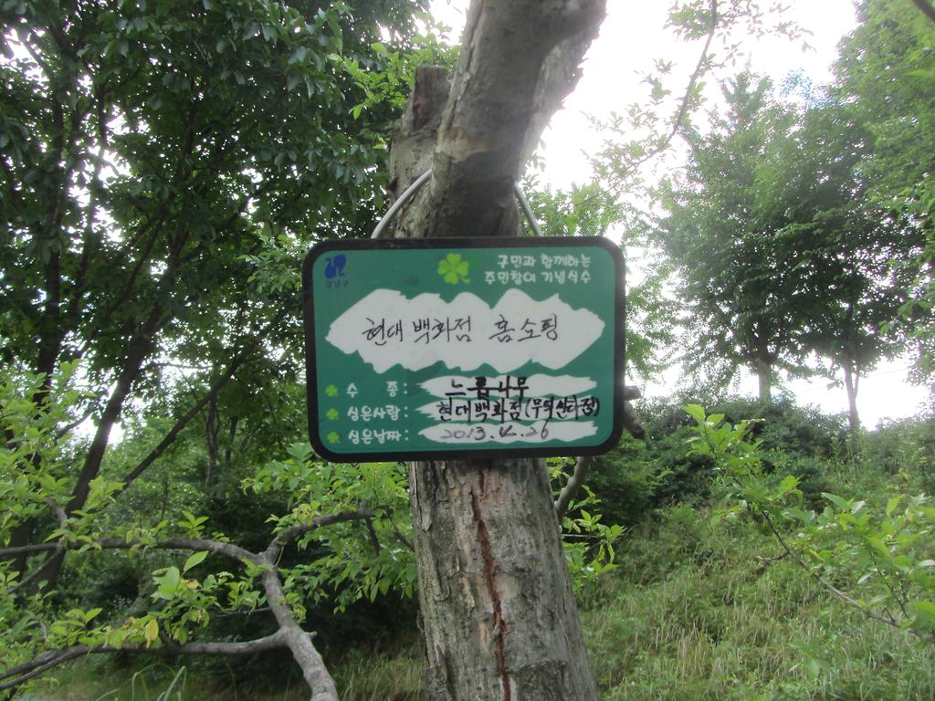 2대-좌우전구간(총233주)