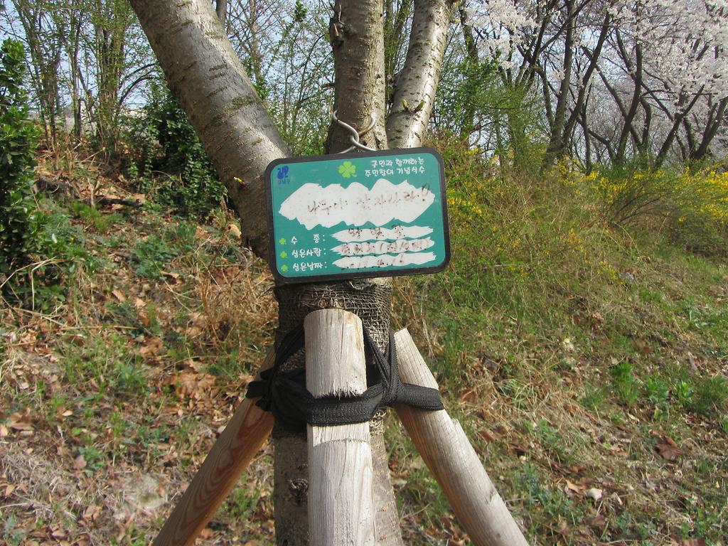 23-좌외상사-1