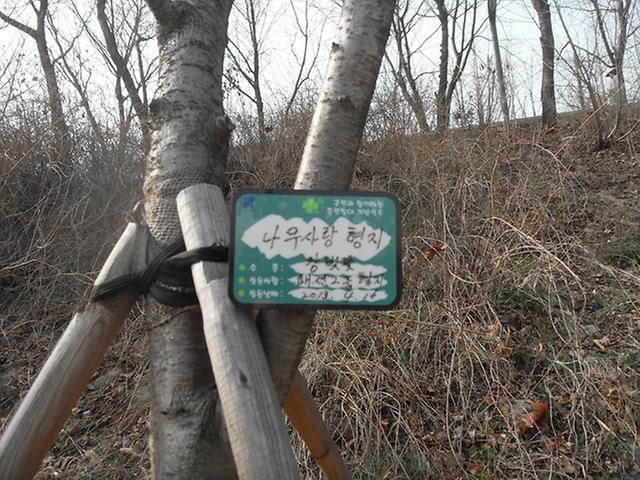 23-좌외상사-10~14