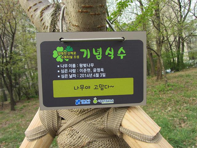 대탄-좌내-14
