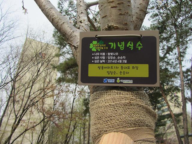 대탄-좌내-13