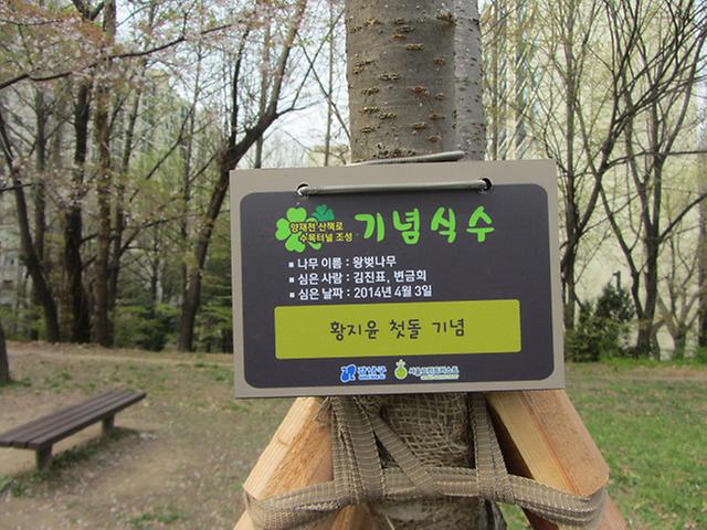 대탄-좌내-10