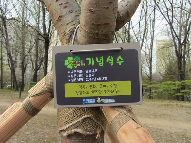 대탄-좌내-9