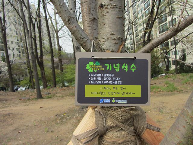 대탄-좌내-6