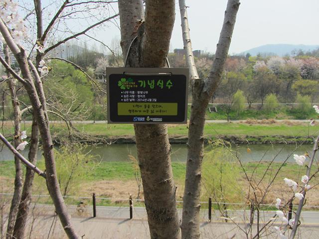 45-좌외-1