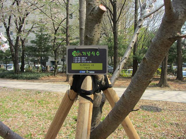 34-청룡-5
