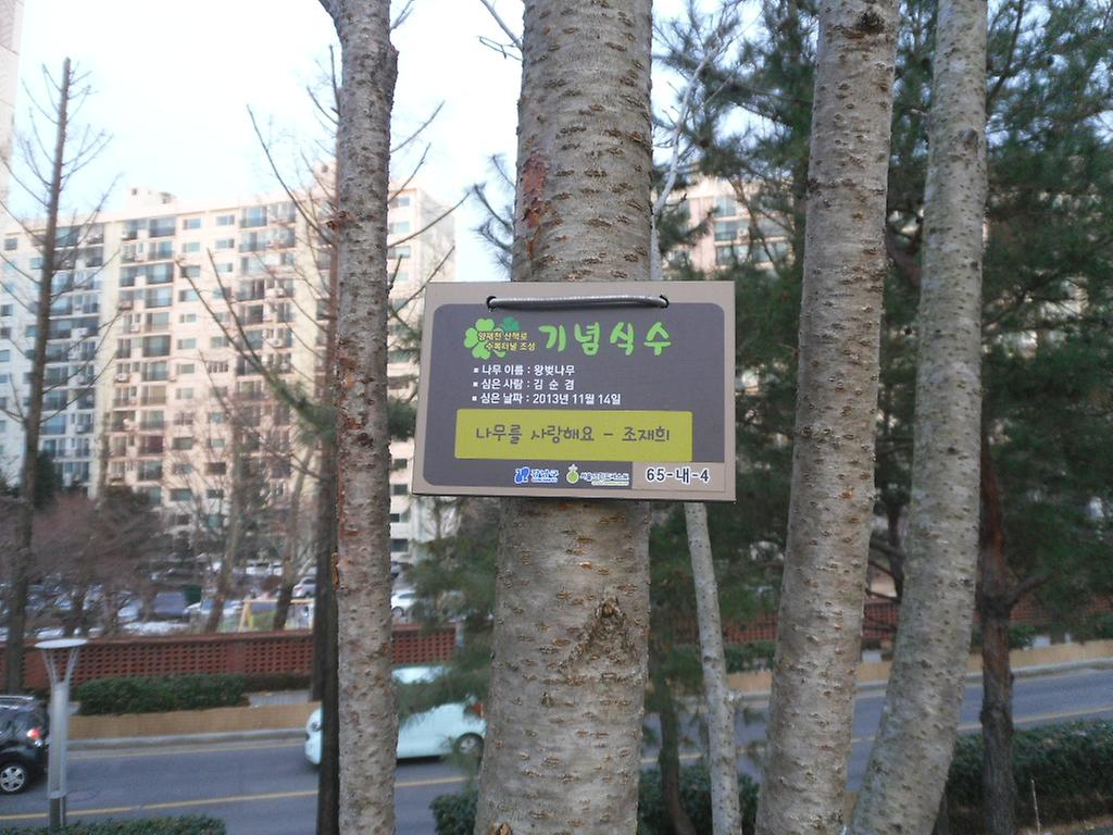 65-내-4