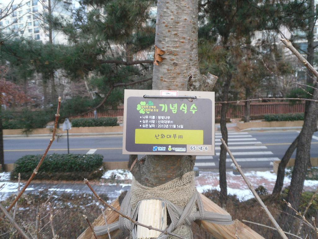 65-내-6