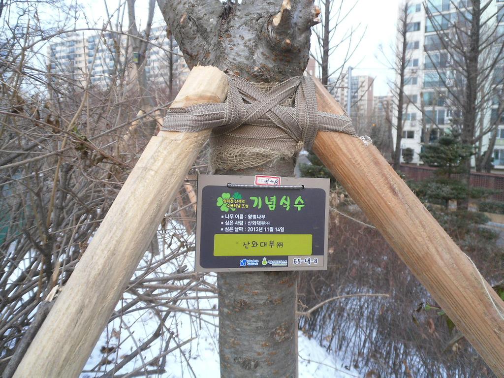 65-내-8