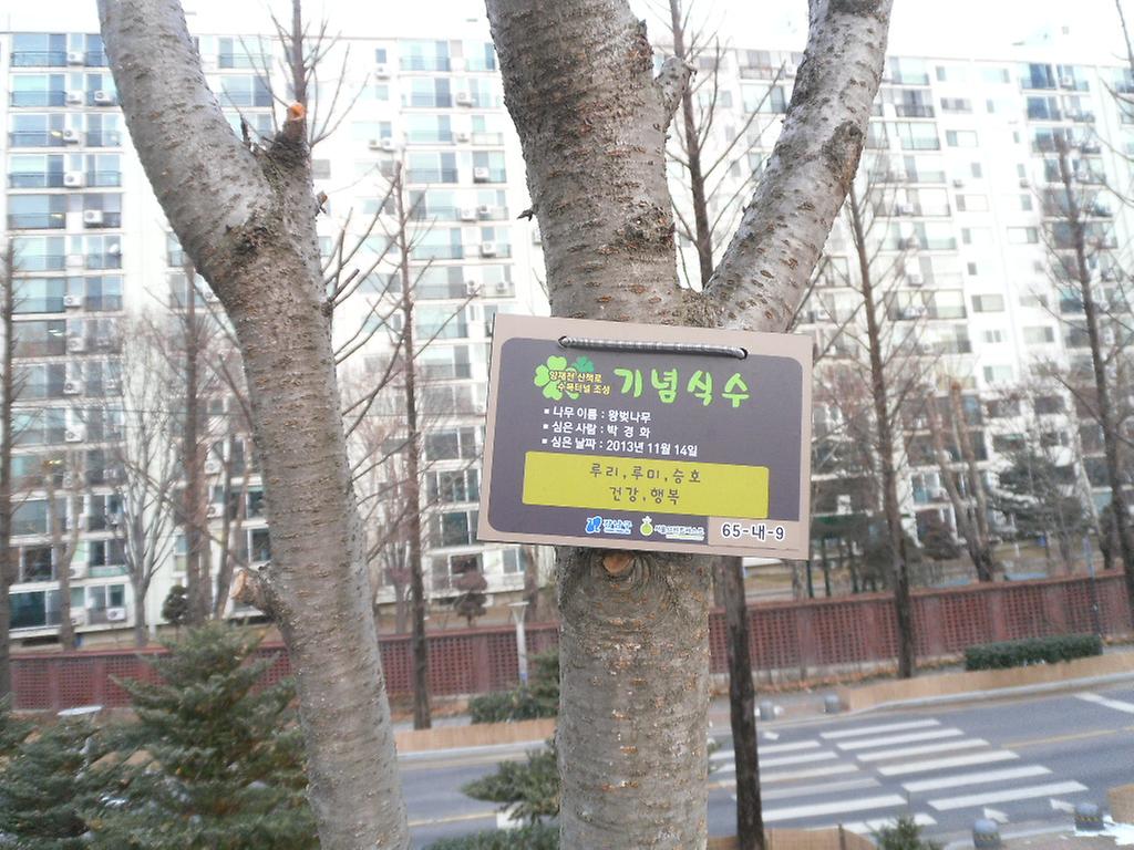 65-내-9