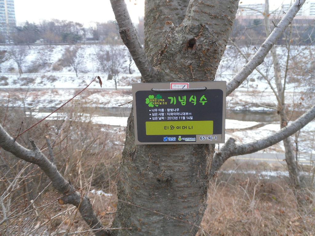 65-외-1