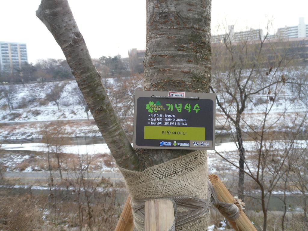 65-외-3