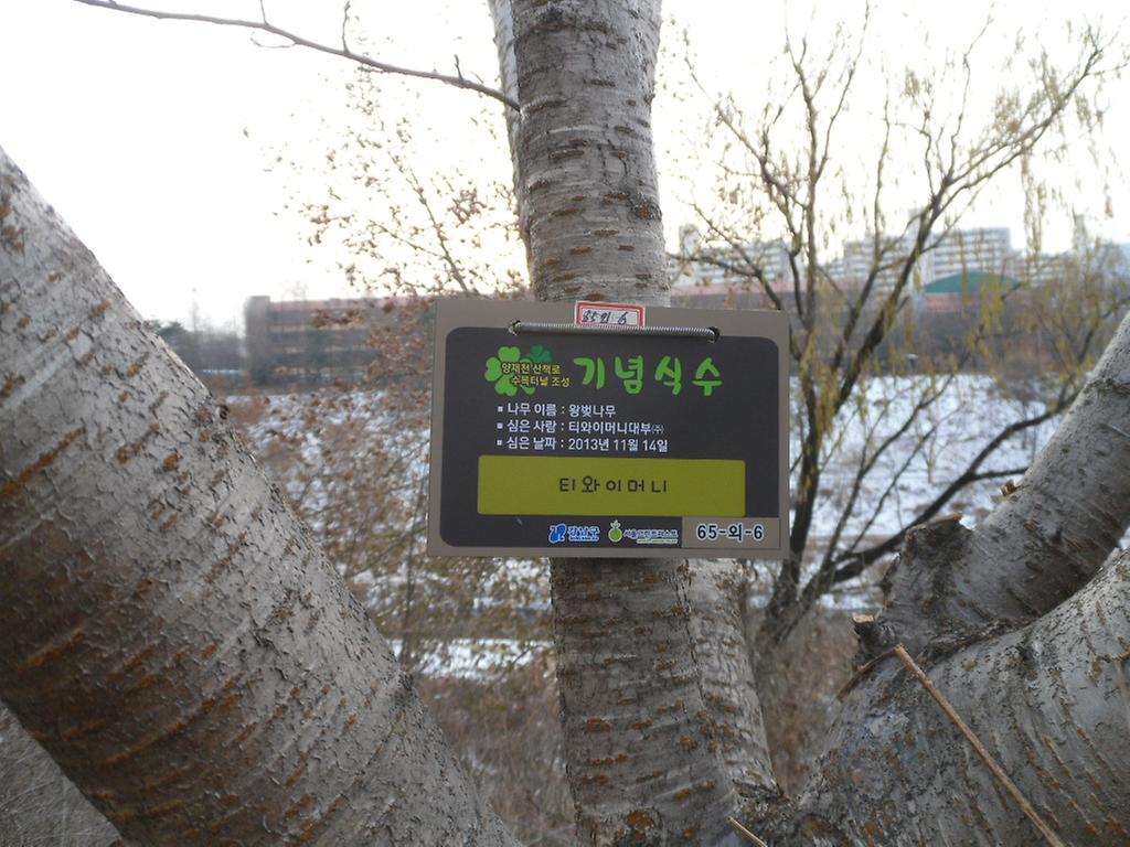 65-외-6
