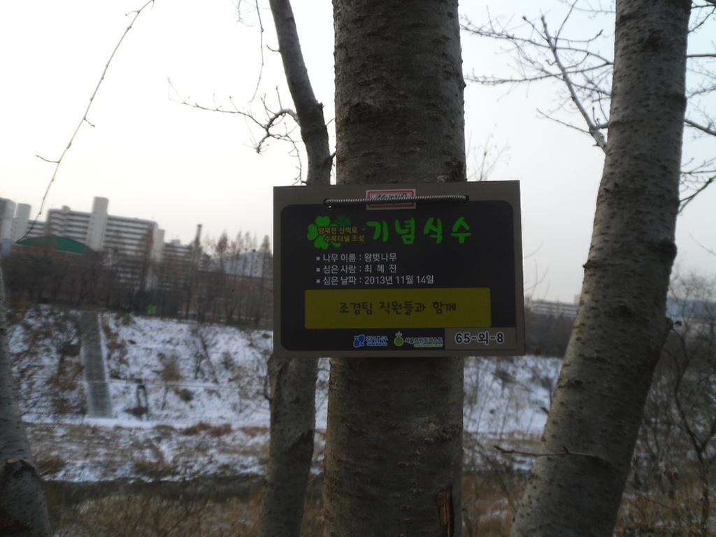 65-외-8
