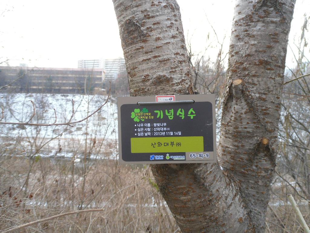 65-외-9