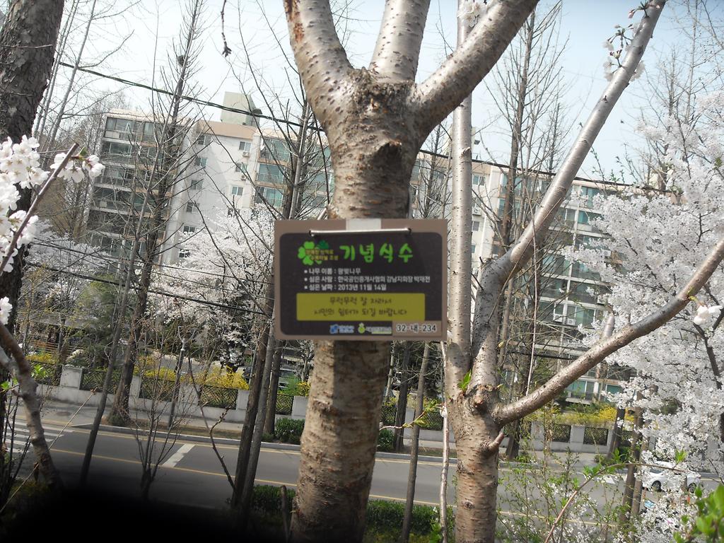 32-내-234