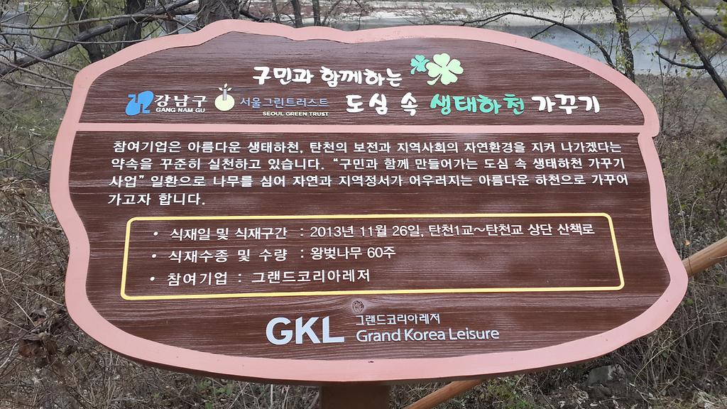 탄천-내-1~60(총60주 식재)