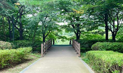 청룡공원