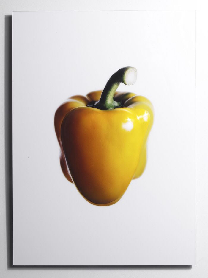[웹]이용수_2015-Pi-Y colored polycoat on diasec 55X78Cm 2015.jpg
