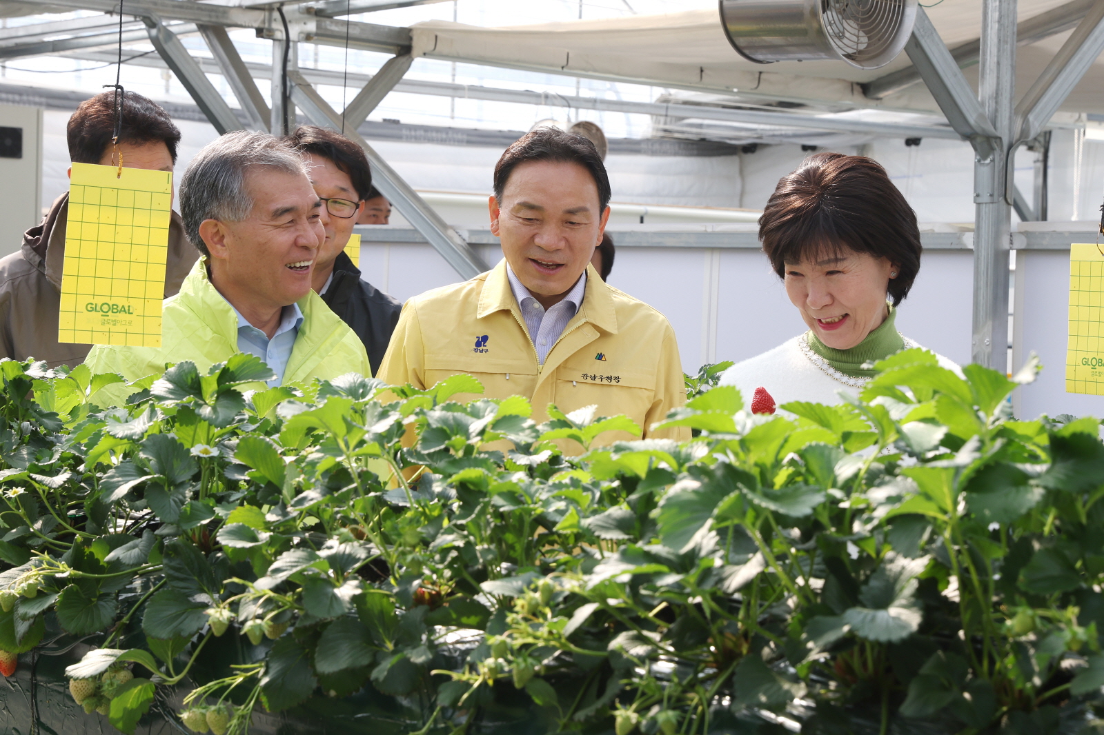 세곡천 힐링텃밭 방문