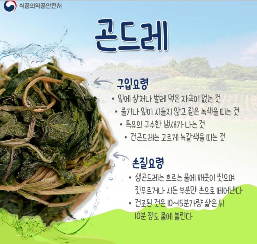 곤드레2.jpg