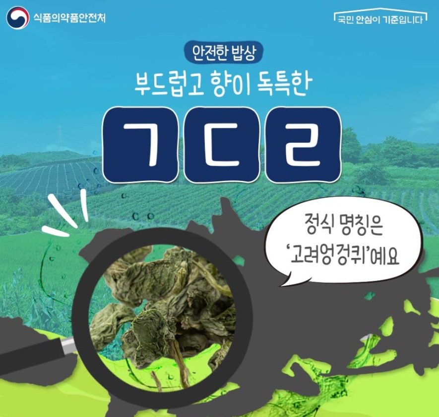 곤드레1.jpg