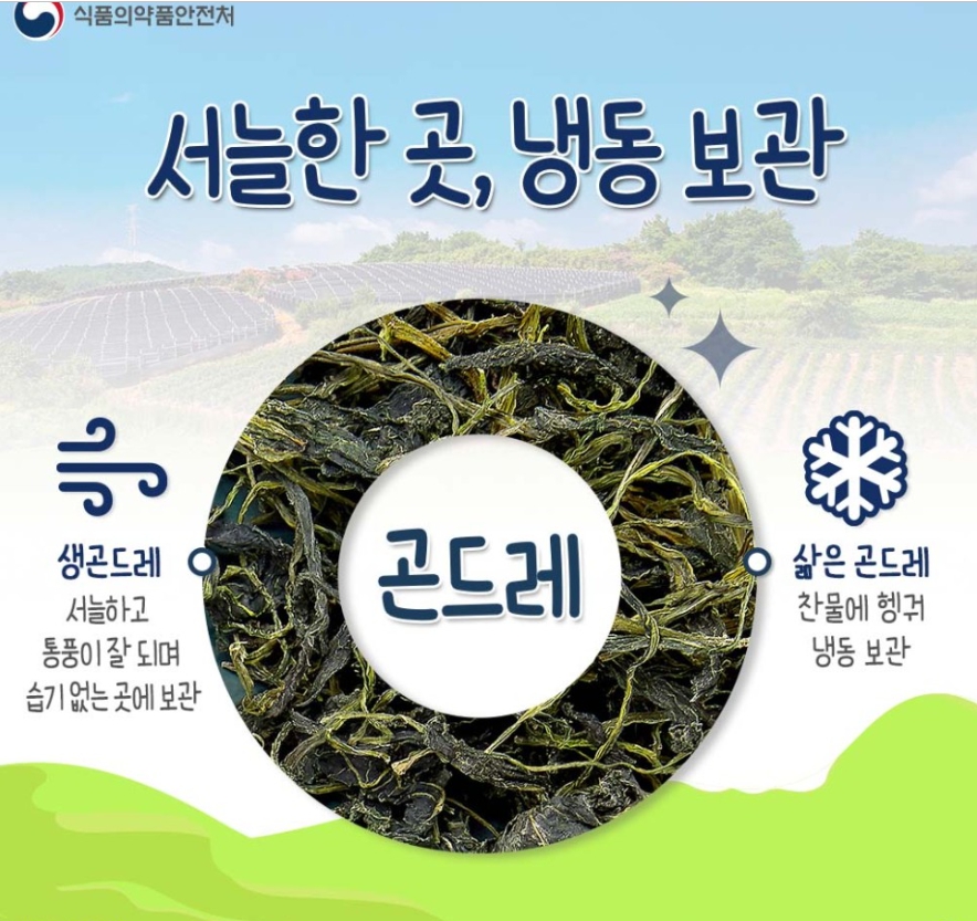 곤드레3.jpg