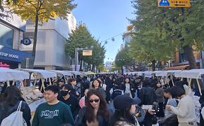 2025.11.01.가로수길 가을 낭만 축제