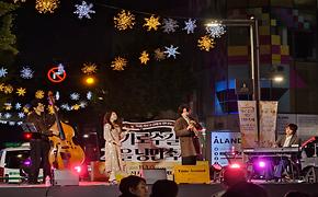 2025.11.01.가로수길 가을 낭만 축제