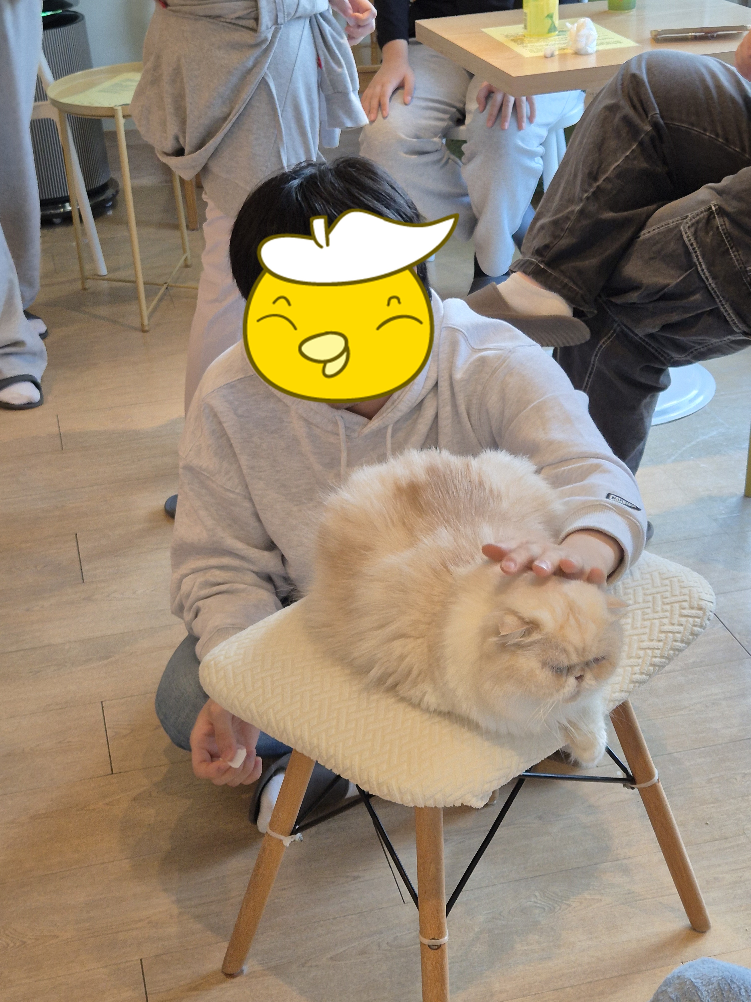 KakaoTalk_20251203_134254344.jpg