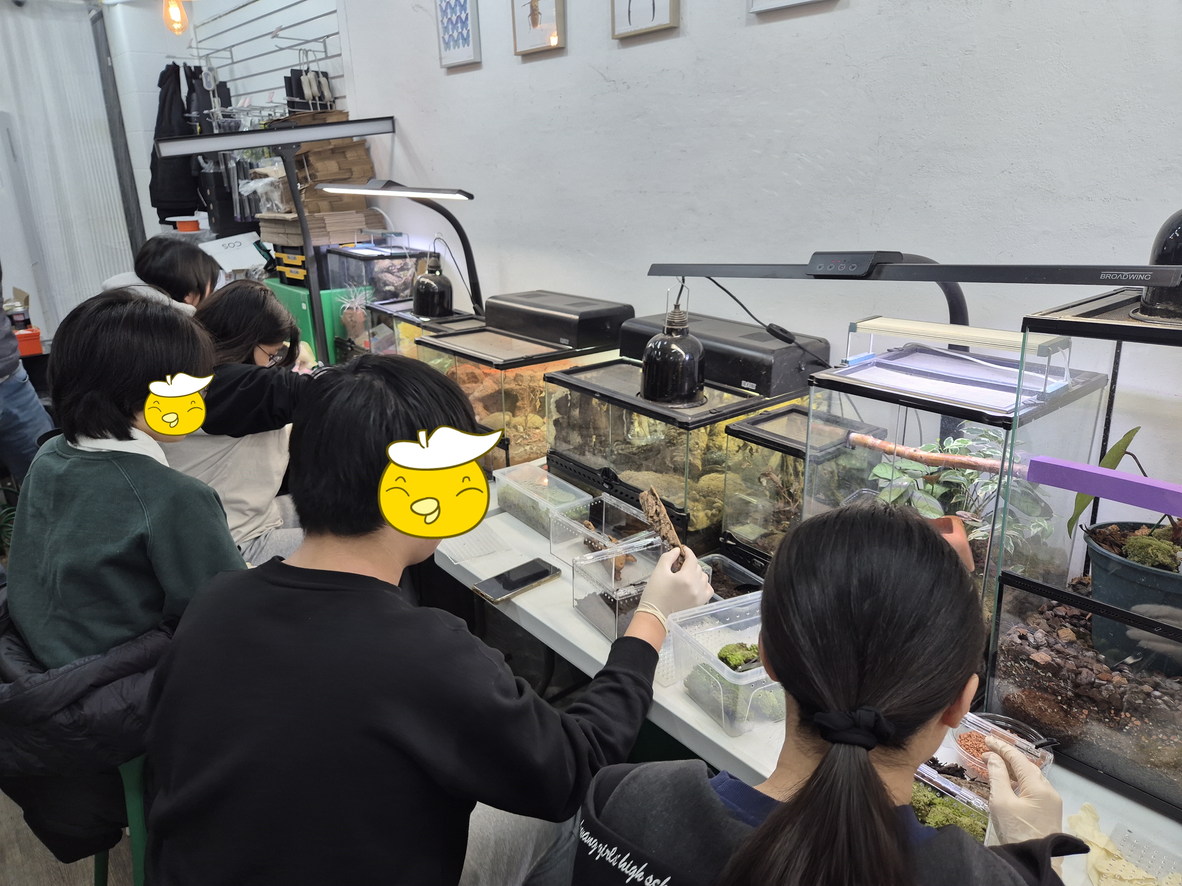 [꿈드림] 11월 직업체험 - 파충류 관리사