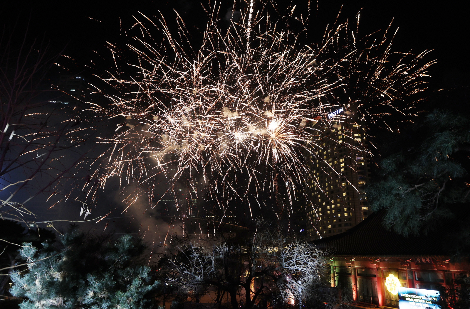 새해맞이 봉은사 타종