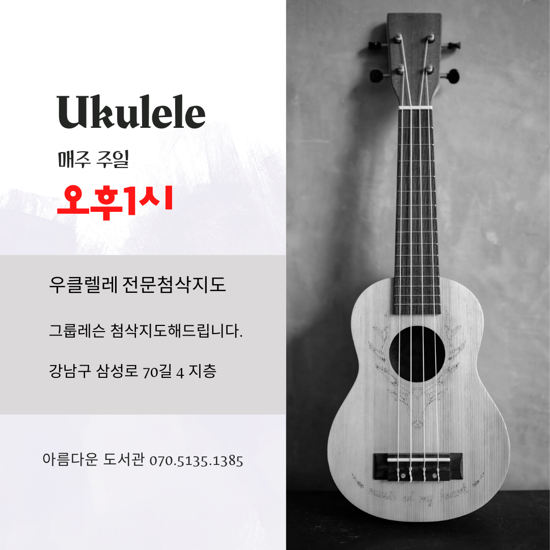 아름다운 도서관 우클렐레 동호회