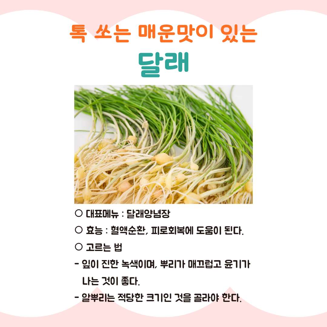 3월제철식품2.png