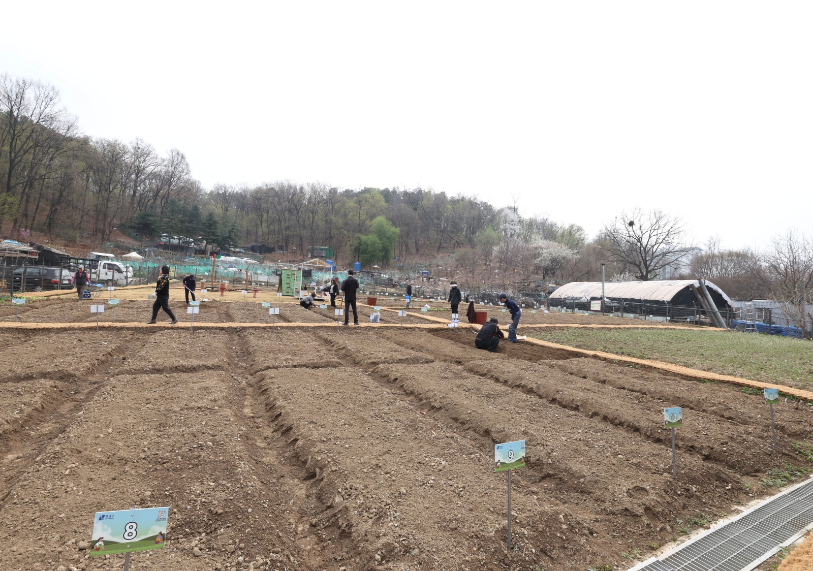 수서동 힐링텃밭 개장