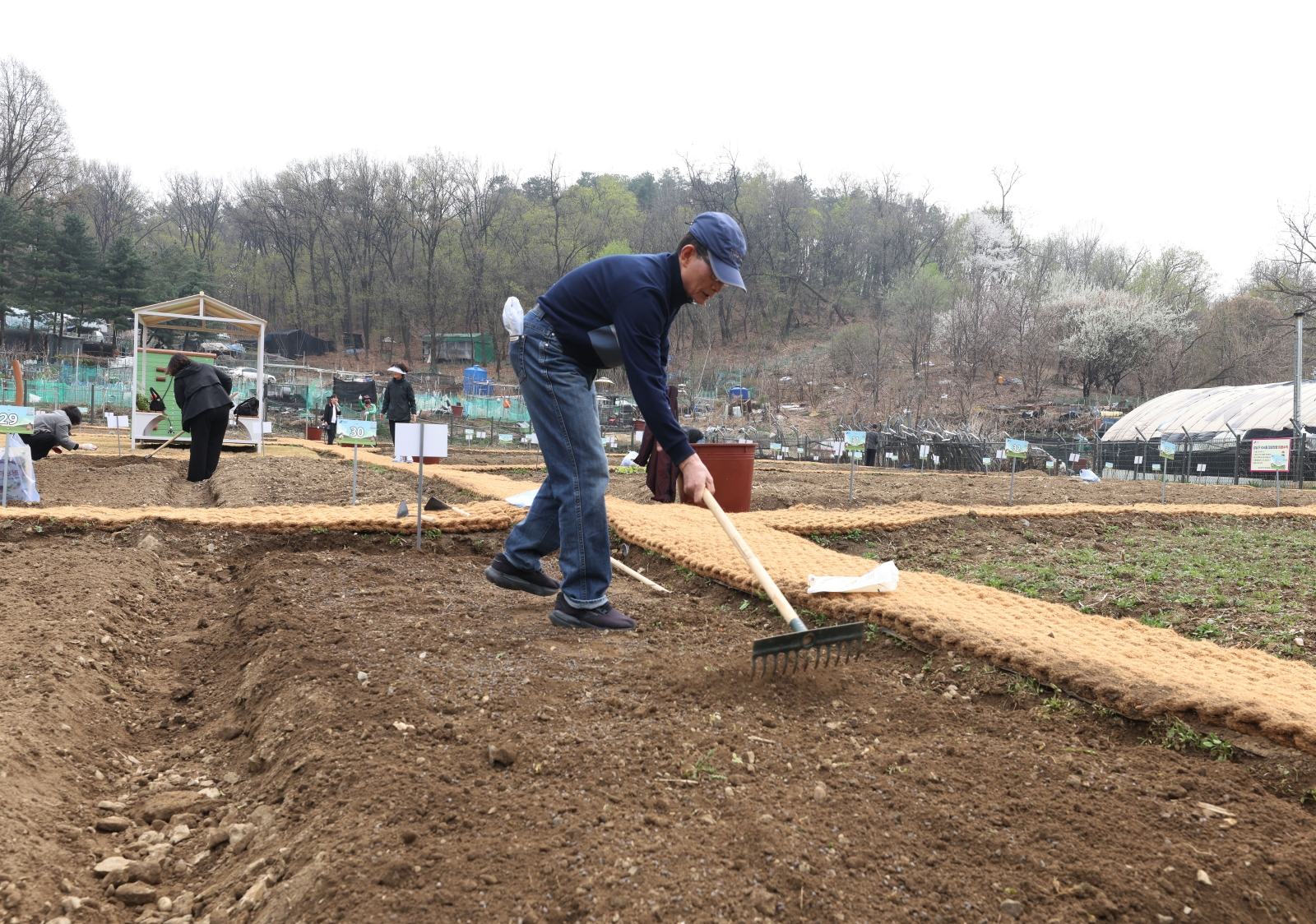 수서동 힐링텃밭 개장