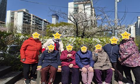 26년 상반기 봄나들이(여의도 벚꽃구경)