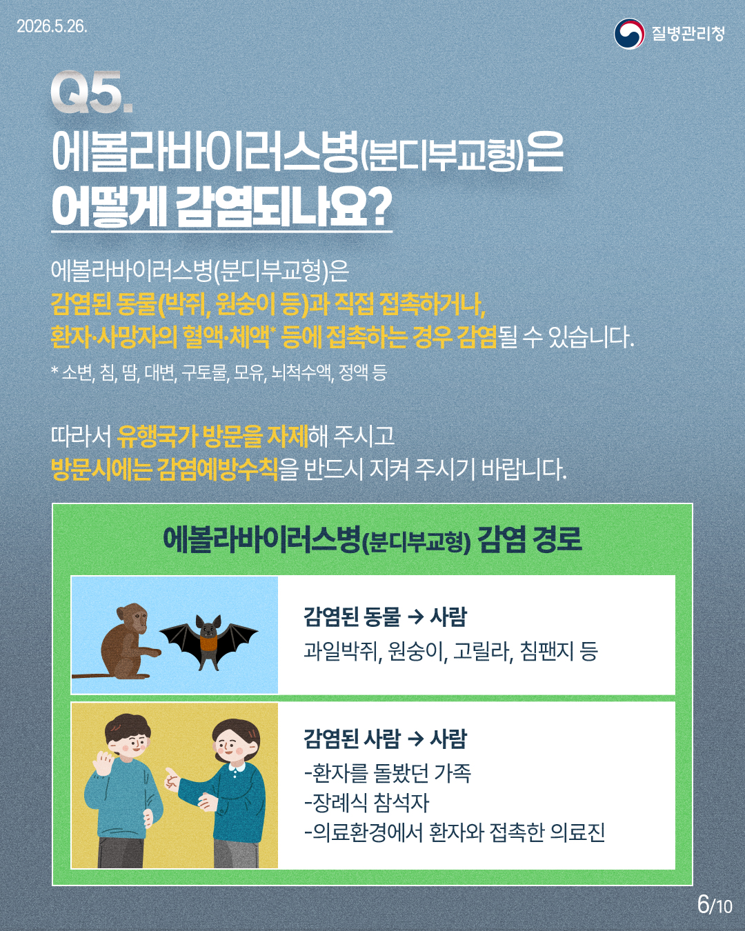 260525-에볼라바이러스_6.jpg