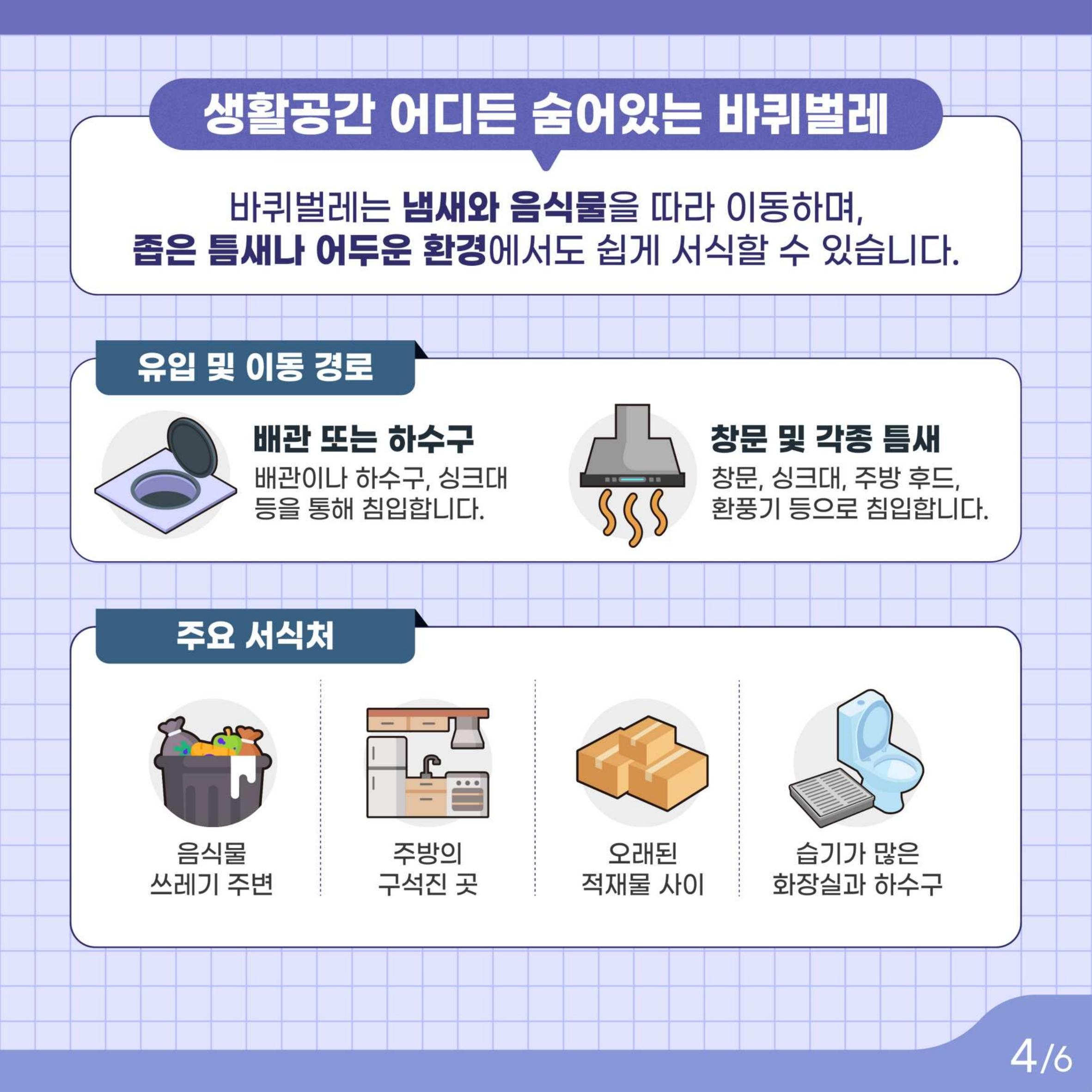 카드뉴스_바퀴벌레_04.jpg
