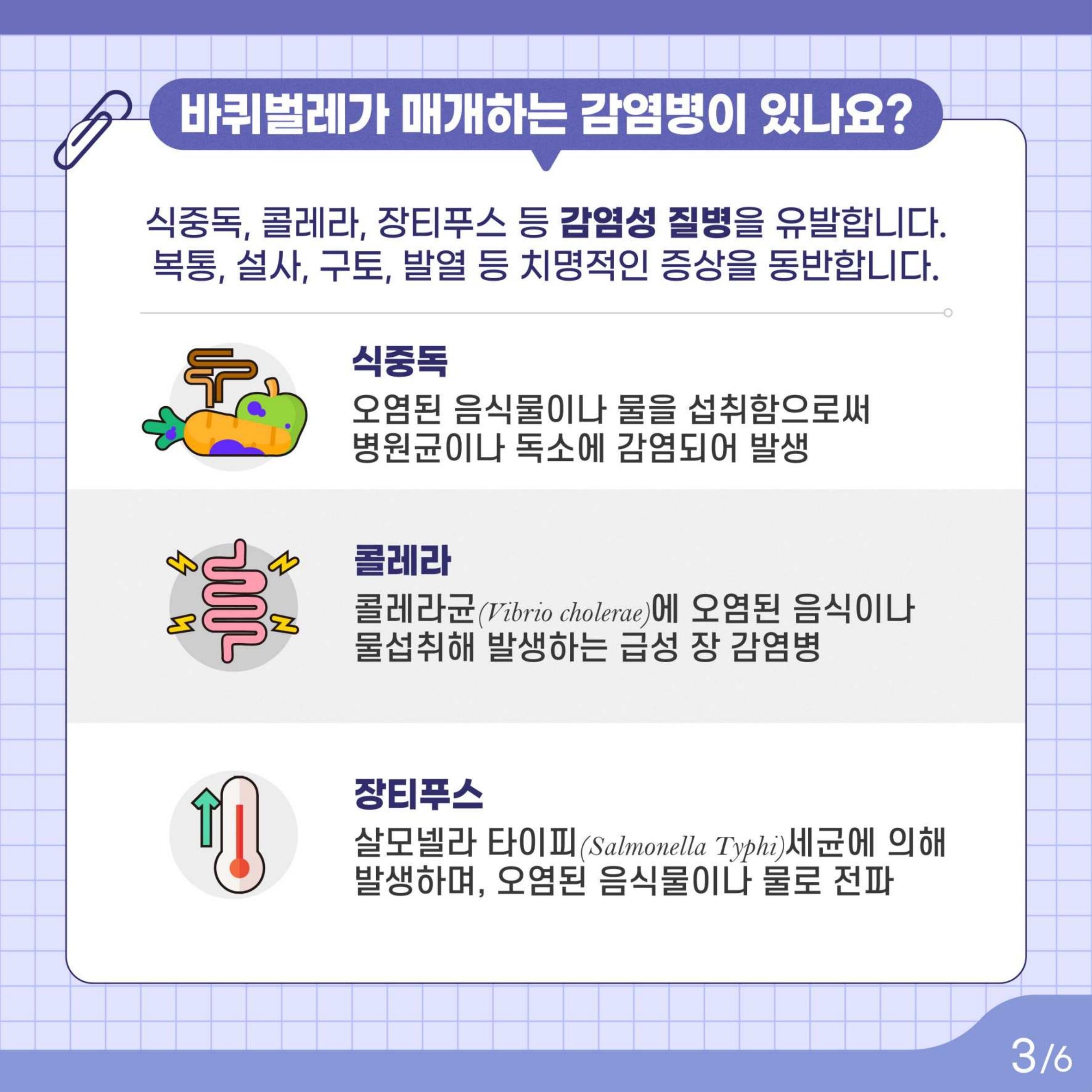 카드뉴스_바퀴벌레_03.jpg