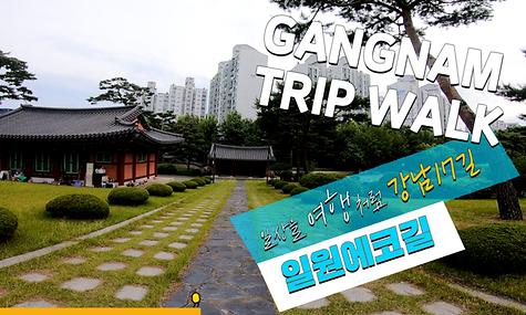 GANGNAM TRIP WALK EP.5