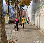 ZERO 강남 홍보 캠페인 및 플로깅 실시