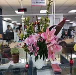 관내 기관, 업체에서 버려지는 꽃 활용 민원실 장식