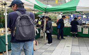 2023.11.9.(목) 도곡1동 북적북적 직거래장터