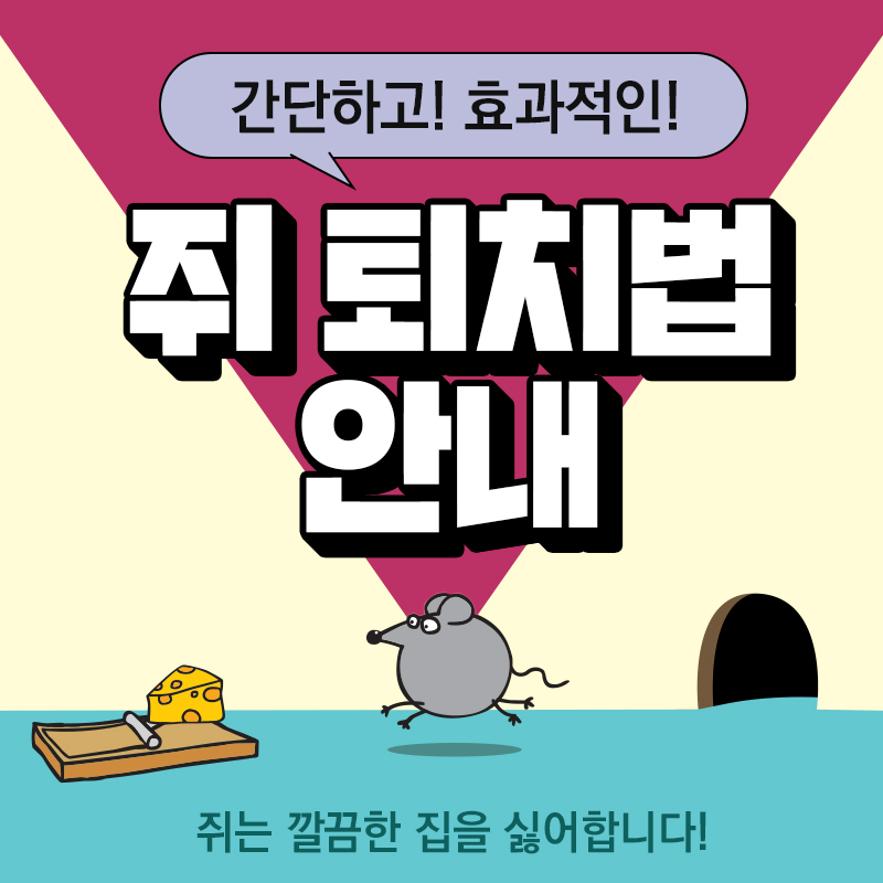 간단하고! 효과적인! 쥐 퇴치법 안내쥐는 깔끔한 집을 싫어합니다!