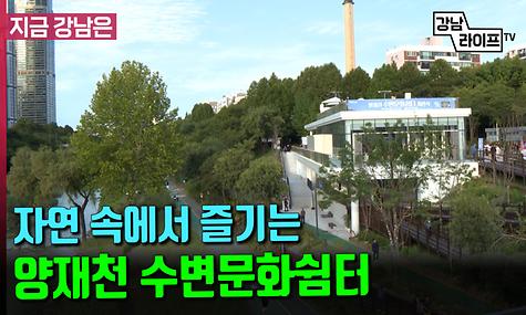 자연 속에서 즐기는 양재천 수변문화쉼터 오픈