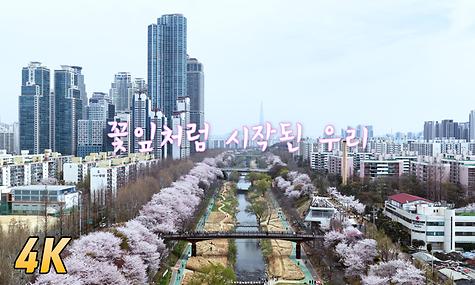  꽃잎처럼 시작된 우리